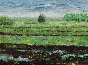 Flooded Landscape (Coraki)